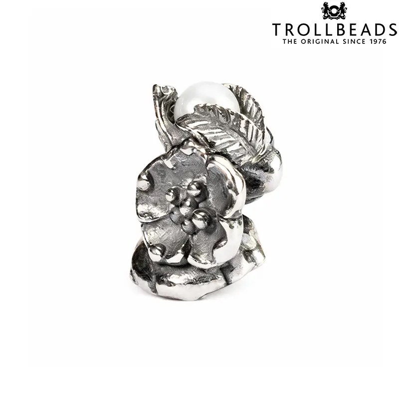 Ciondolo Beads Olivello Spinoso in Argento Trollbeads