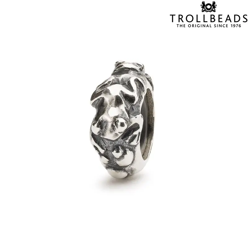 Ciondolo Beads Evoluzione in Argento Trollbeads